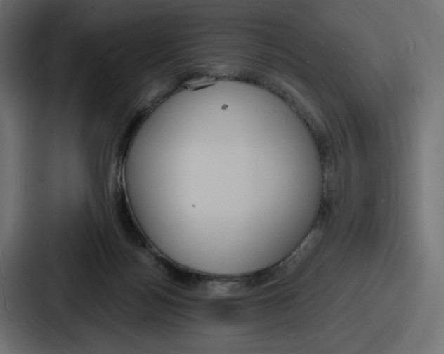 X0000086750172200705111702