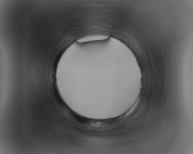 X0000086750174200705111702