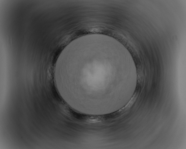X0000086750175200705111702