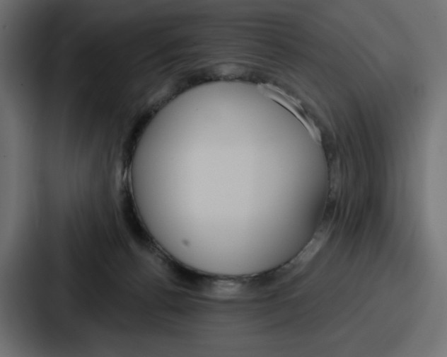 X0000086750176200705111702