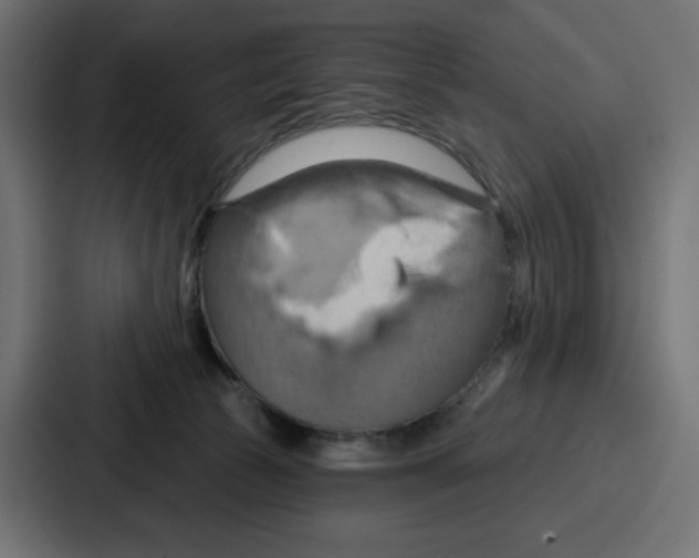 X0000086750177200705111702