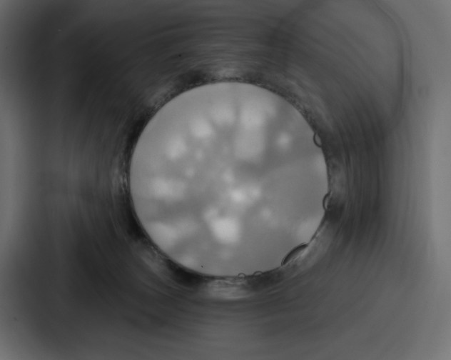 X0000086750179200705111702