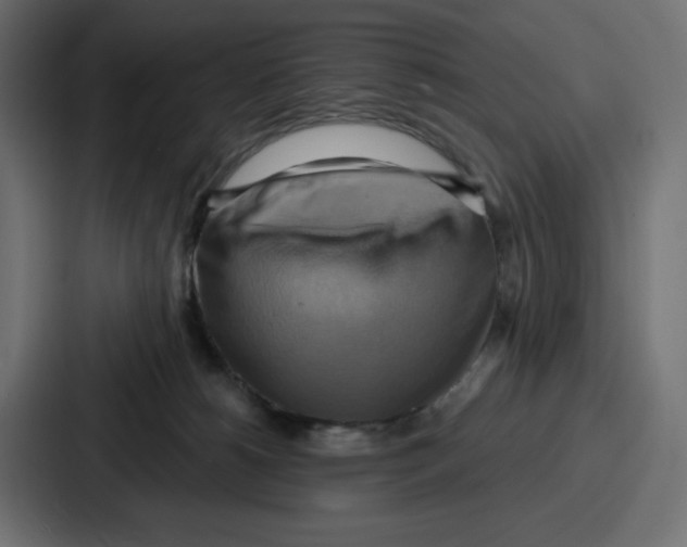 X0000086750180200705111702