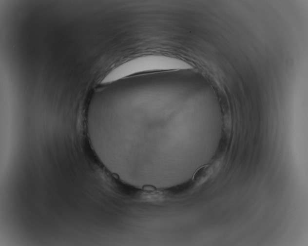 X0000086750181200705111702