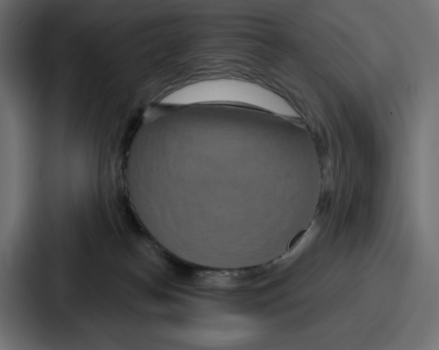 X0000086750182200705111702