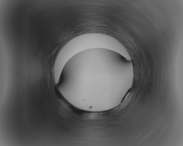 X0000086750184200705111702