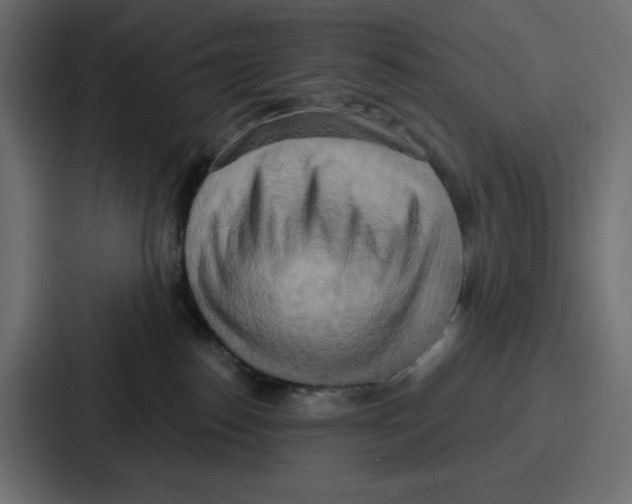X0000086750186200705111702