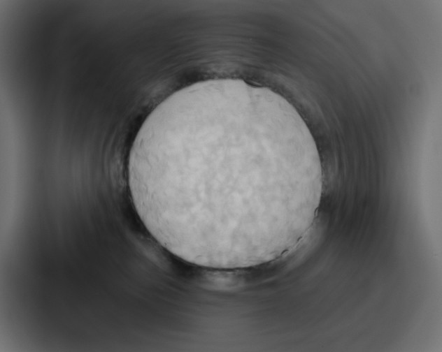 X0000086750187200705111702