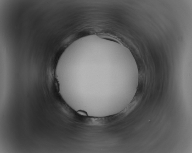 X0000086750188200705111702