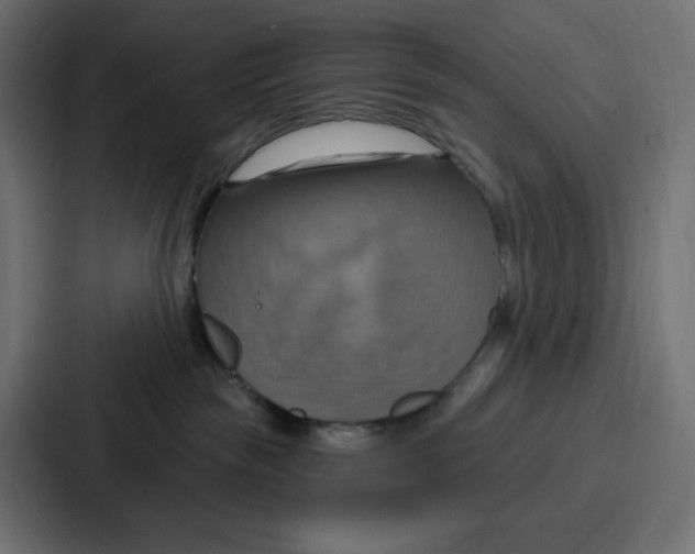 X0000086750189200705111702
