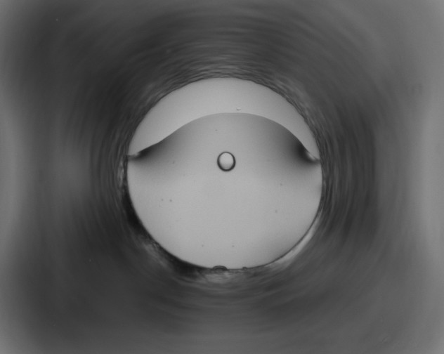 X0000086750190200705111702