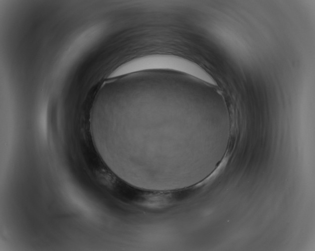 X0000086750191200705111702