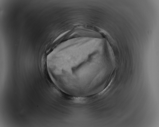 X0000086750192200705111702