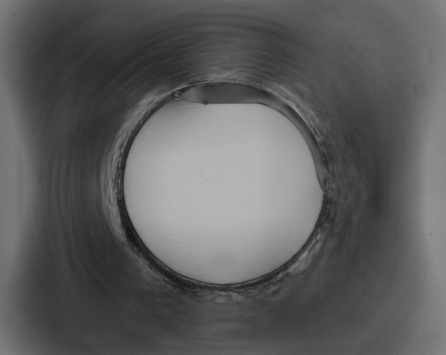 X0000086750193200705111702
