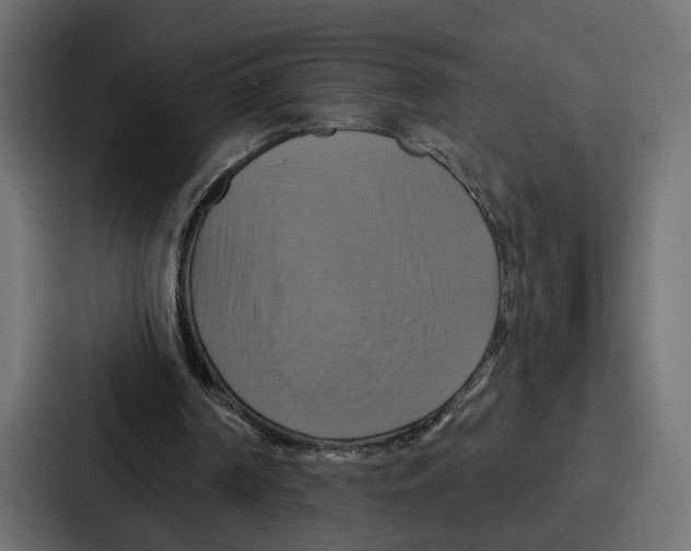 X0000086750194200705111702