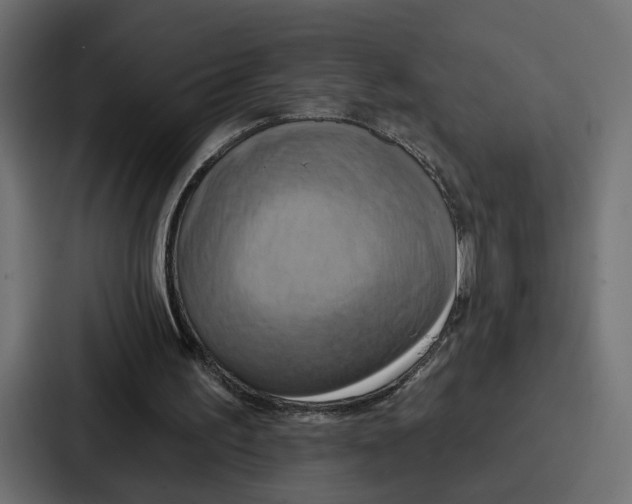X0000086750195200705111702