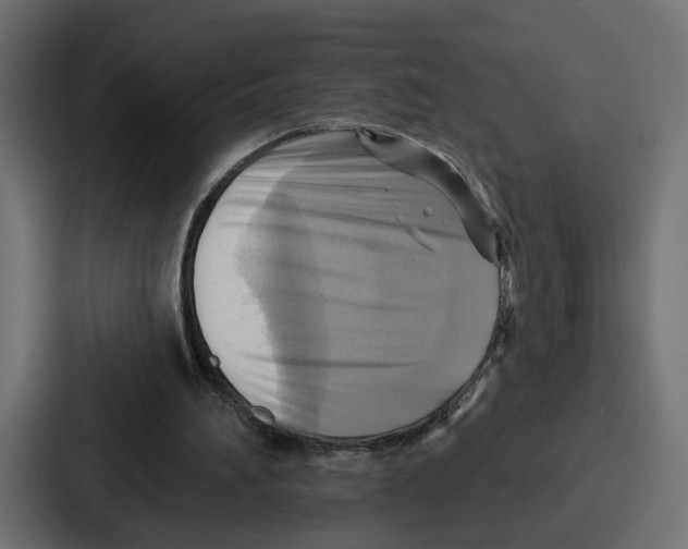 X0000086750196200705111702