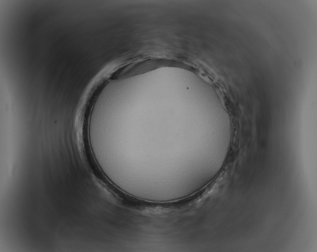 X0000086750197200705111702