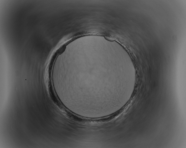 X0000086750198200705111702