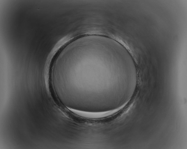 X0000086750199200705111702