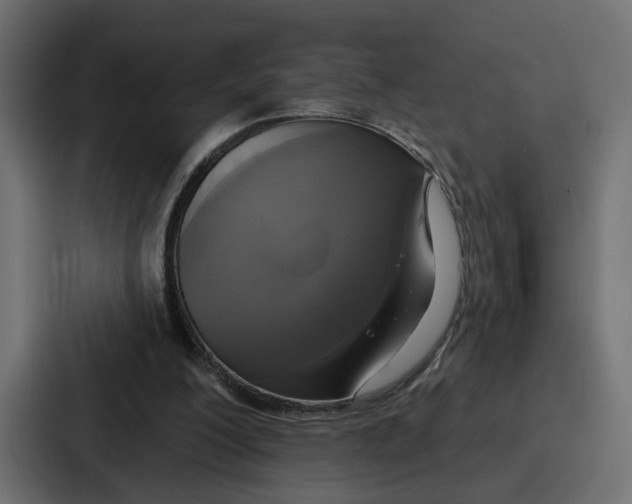 X0000086750200200705111702
