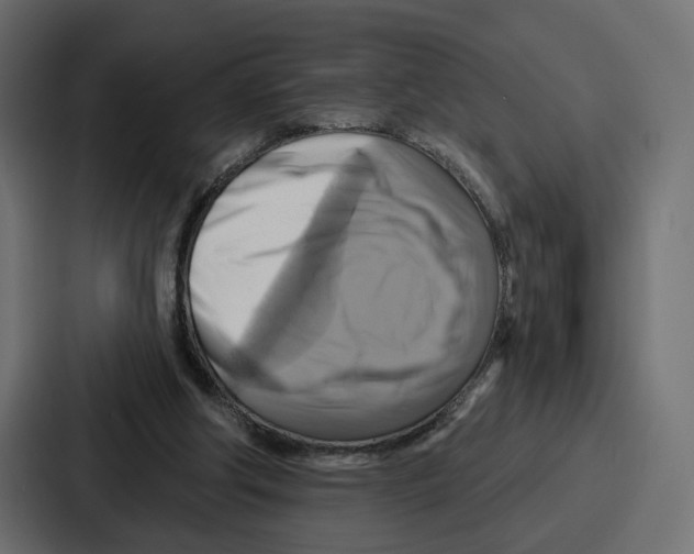 X0000086750202200705111702