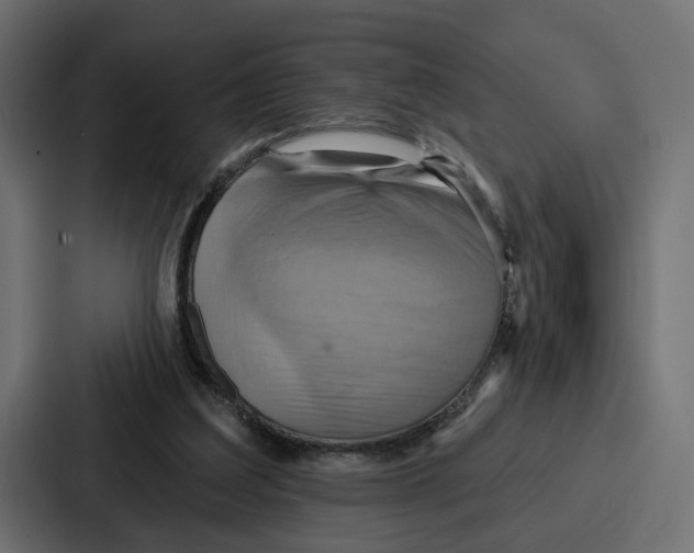 X0000086750203200705111702