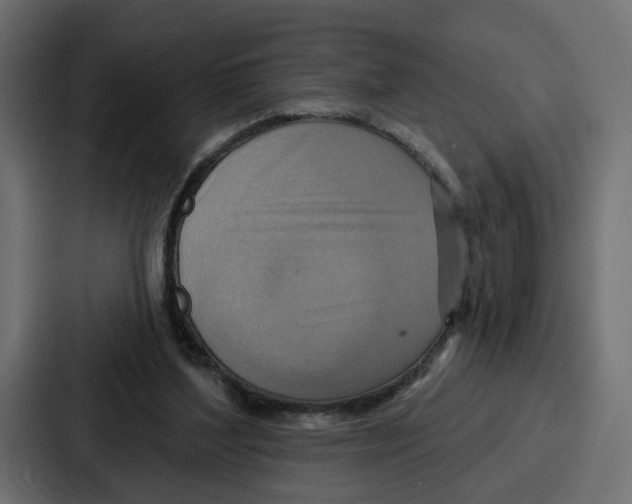 X0000086750204200705111702