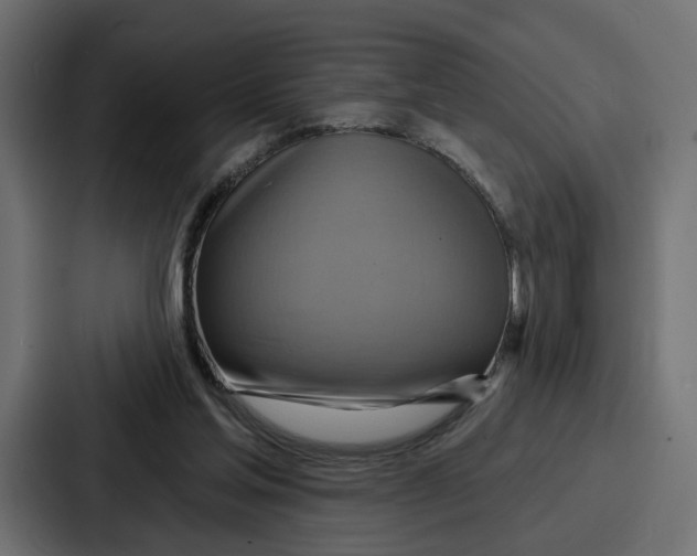 X0000086750205200705111702