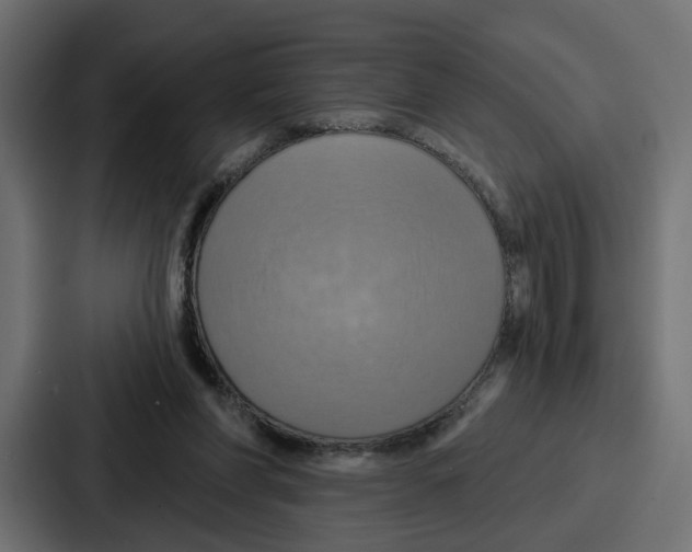 X0000086750206200705111702