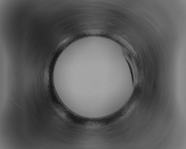 X0000086750207200705111702