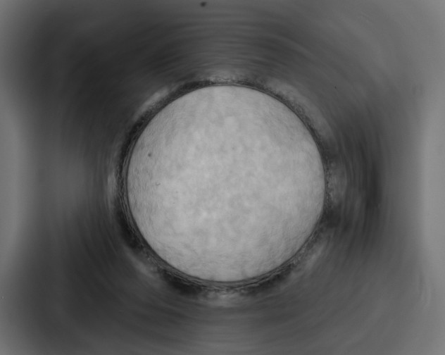 X0000086750208200705111702