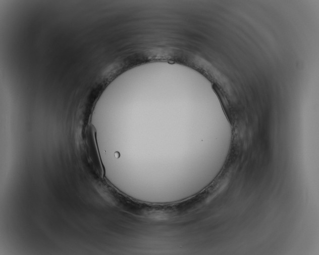 X0000086750209200705111702