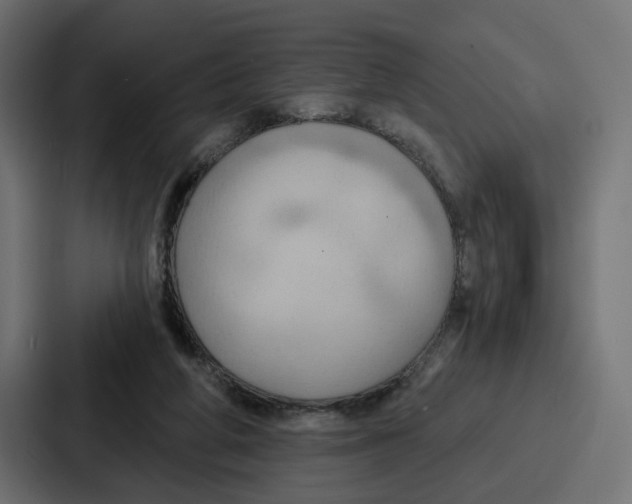 X0000086750210200705111702