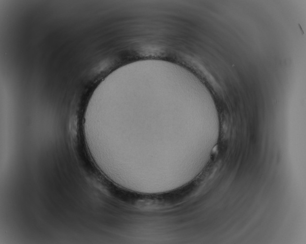 X0000086750211200705111701