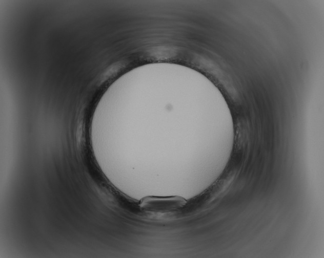 X0000086750212200705111701