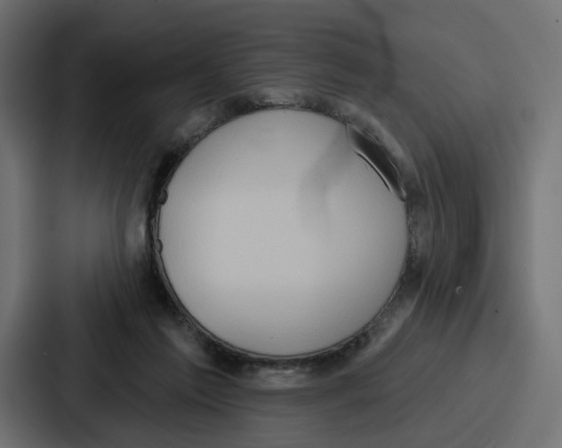 X0000086750213200705111701
