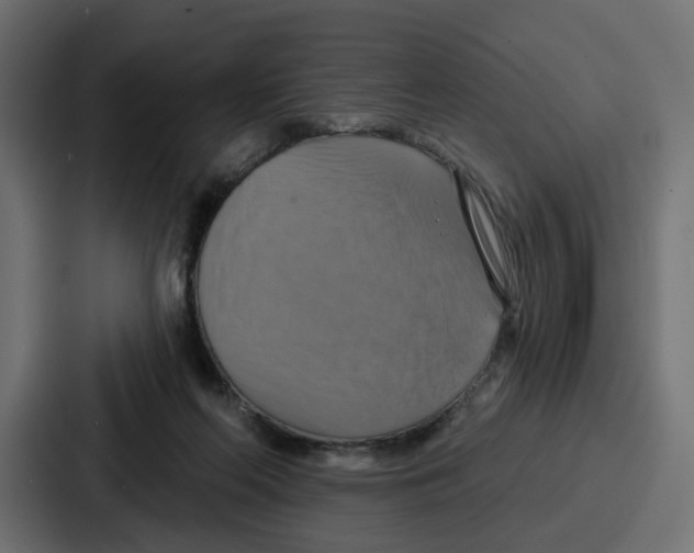X0000086750214200705111701