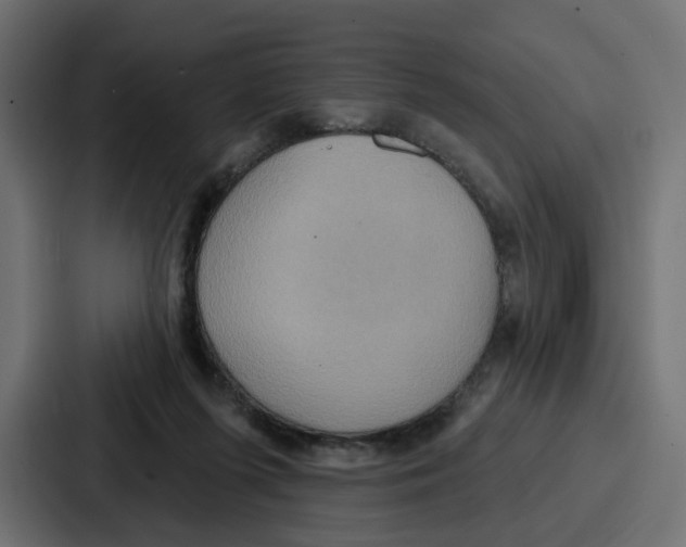 X0000086750215200705111701