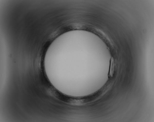 X0000086750217200705111701