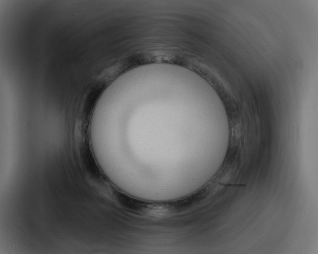 X0000086750218200705111701