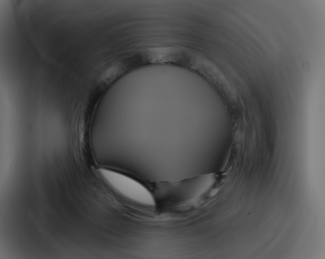 X0000086750219200705111701