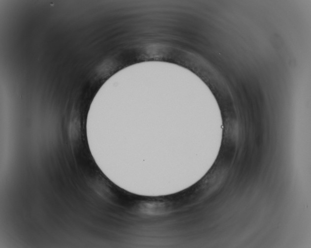 X0000086750220200705111701