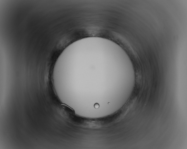 X0000086750221200705111701
