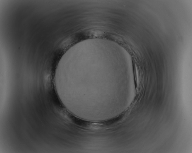 X0000086750222200705111701