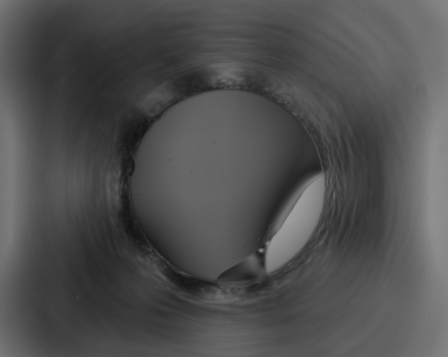 X0000086750223200705111701