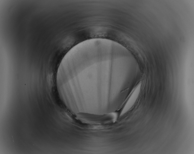 X0000086750224200705111701