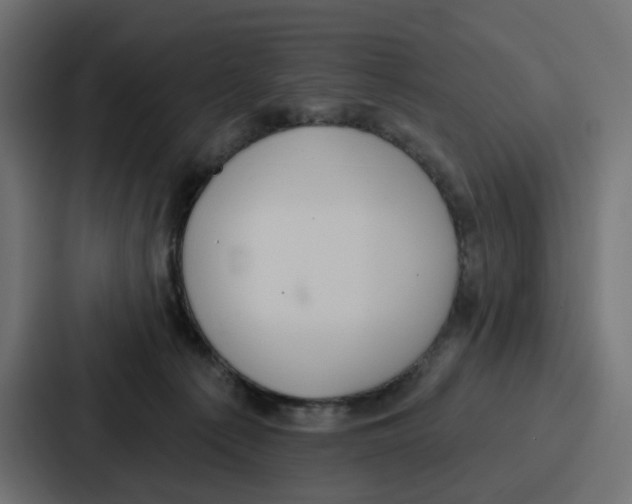 X0000086750225200705111701