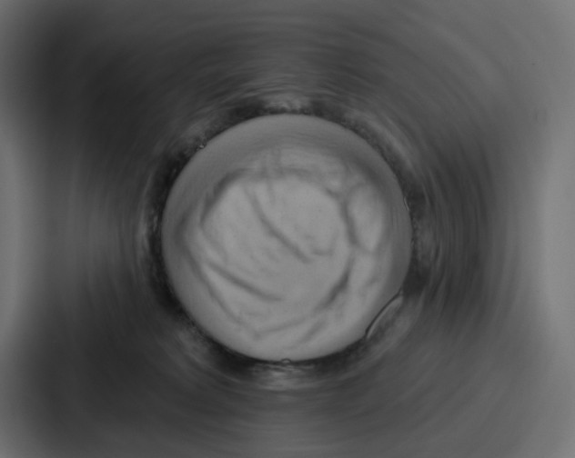 X0000086750229200705111701