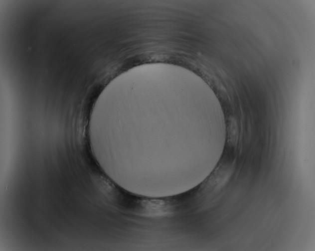 X0000086750230200705111701
